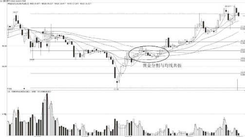 黄金分割与均线确定短线买点