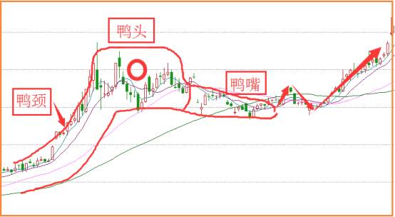 波段操作技巧有哪些