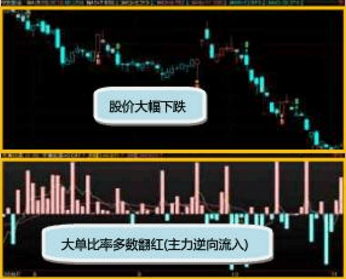 主力资金流入股价下跌.png