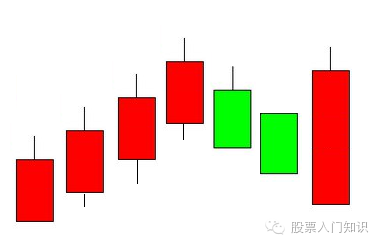 形态特点