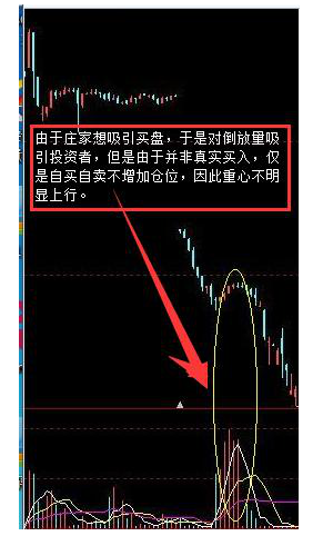 跟庄实战赚钱