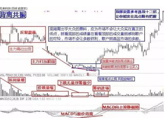 理想的熊市抄底