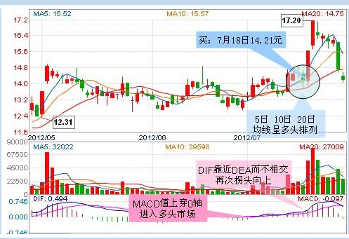 达人T+1操作丽鹏股份获利18%