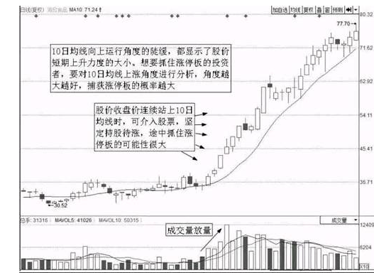 涨停股票特征