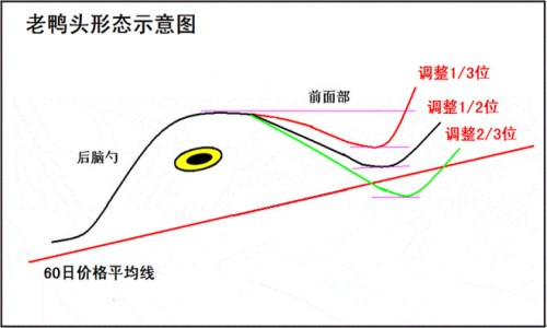 股市跟庄高手选股秘诀