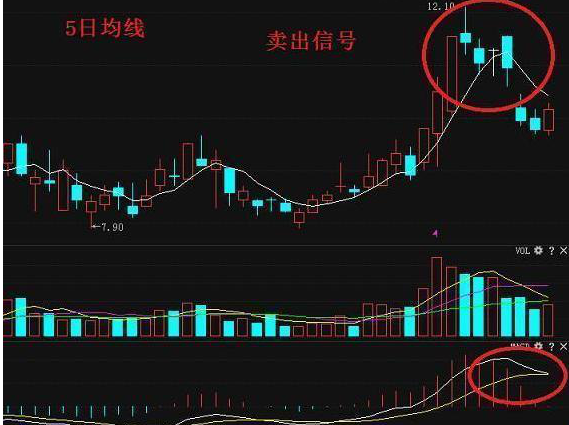 跌破5日均线就要止损