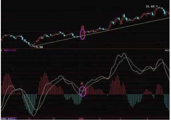 雏雁高飞选股绝技