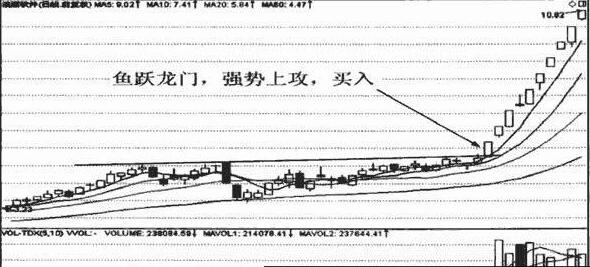 鱼跃龙门和旱地拔葱形态.jpg