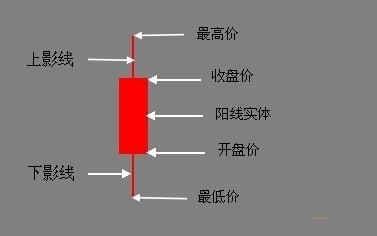 阳线是什么意思