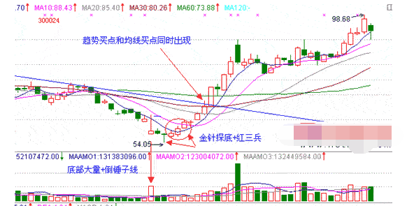 红三兵形态介绍2.png