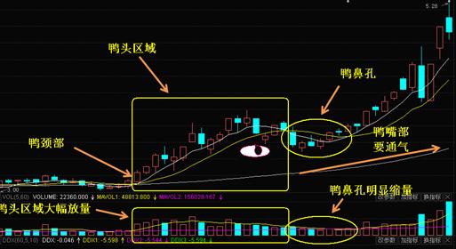 多方炮形态是什么