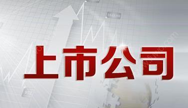 分析上市公司资产安全性