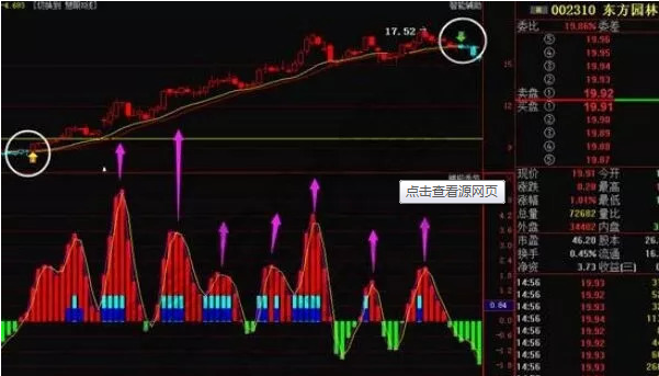 股票控盘霸王庄的