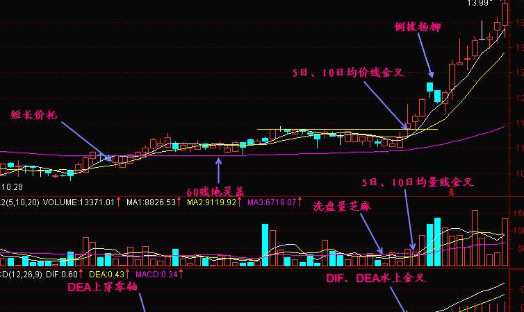 怎样利用三金叉见底来选股4.png