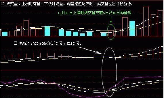 看指标选股