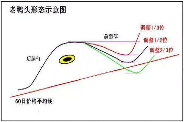 老鸭头一般涨幅是多少