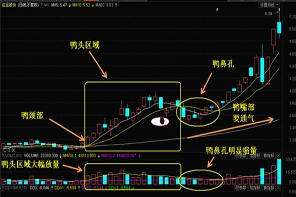 周线老鸭头战法