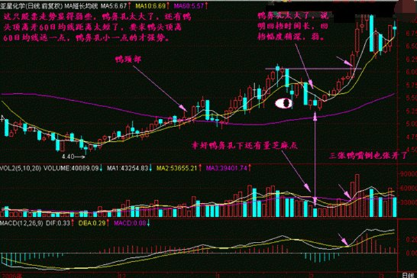 周线老鸭头战法