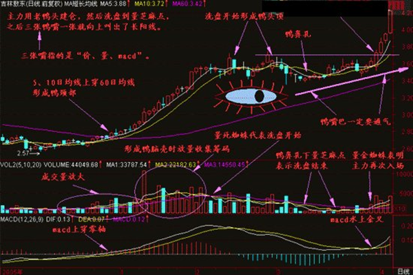 老鸭头战法